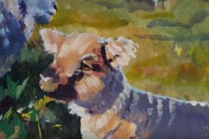 Video - Sheep painting part 16